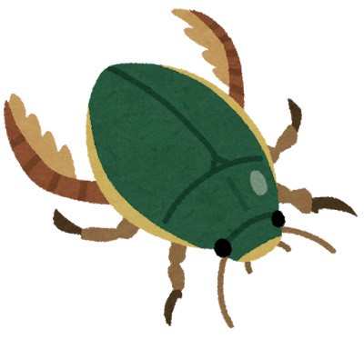 ゲンゴロウ