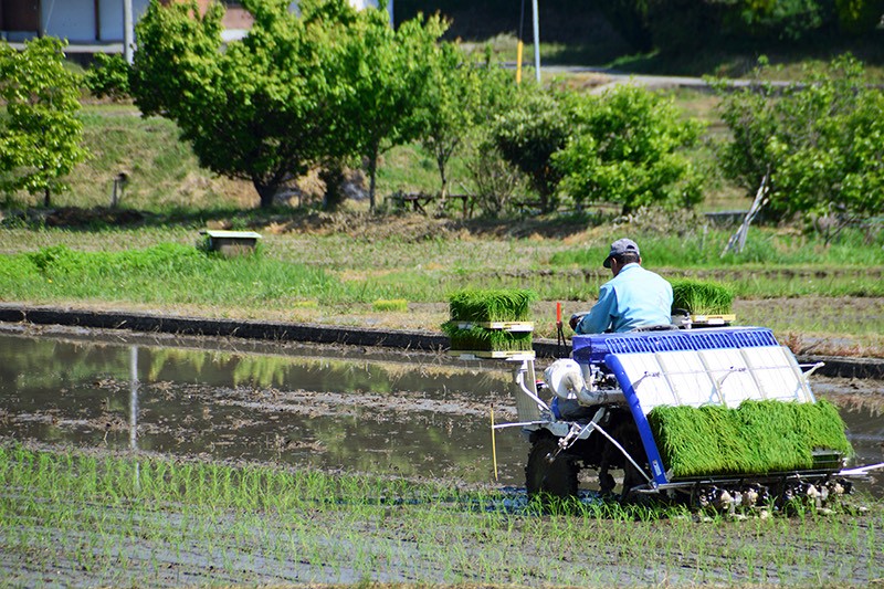 田植え機